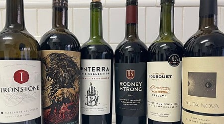 I'm a sommelier. I found 7 of the best cabernet sauvignons at the grocery store, and they're all $35 and under.