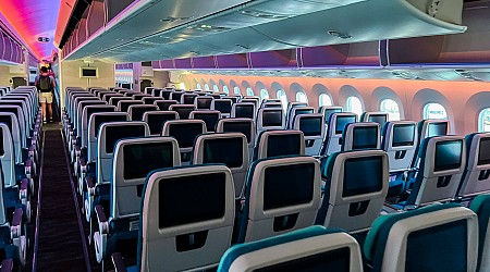 You can now redeem AAdvantage miles on all Hawaiian Airlines flights