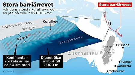 Nya rön: Så bildades Stora barriärrevet