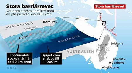 Nya rön: Så bildades Stora barriärrevet