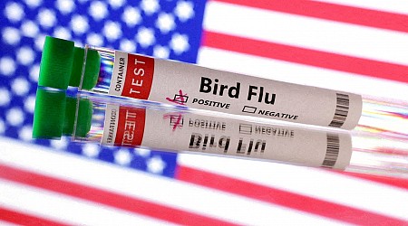 1st bird flu death in the US reported in Louisiana