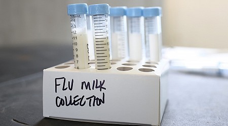 Bird Flu Patient in Louisiana Becomes First Human Death in Current H5N1 Outbreak