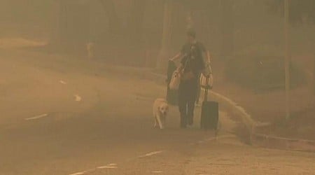 30,000 flee Palisades Fire as flames quickly spread; high winds slam Southern California