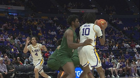 LSU men's basketball dominates Mississippi Valley State in non-conference finale