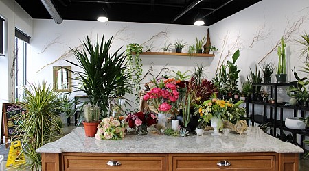 Flower shop bringing plants from around globe opens in Skokie