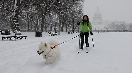 Cold weather alerts from New Mexico to Florida, with another winter storm expected