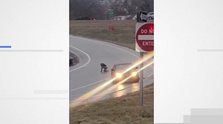 Kansas City viral video driver explains why she jumped out of car