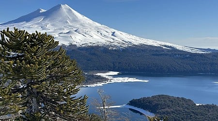 Ancient Trees And Soaring Condors Await At This Chilean National Park