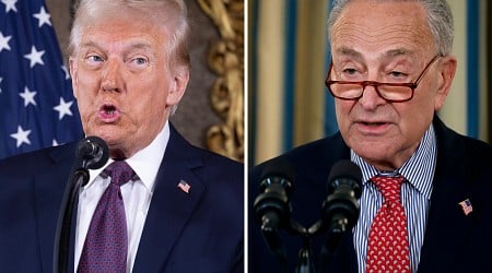 Schumer Will Work With Trump to Rename Gulf of Mexico on One Condition