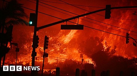 'Run for your lives!' LA residents abandon cars to flee wildfire on foot