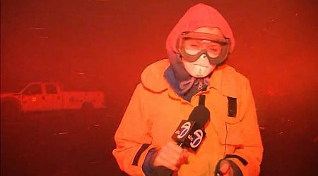 WATCH: TV reporter battles ‘vicious’ winds amid LA fires