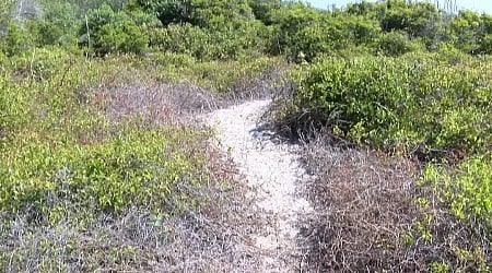 New South Carolina environmental resource educates about Lowcountry coast