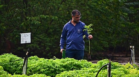 In Brazil, an Amazon reforestation project seeks to redeem carbon markets