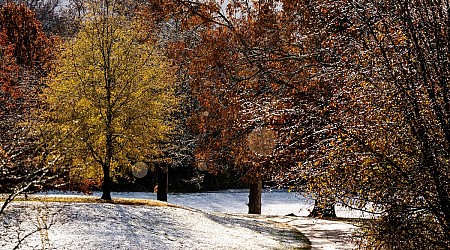 How much snow is Knoxville supposed to get? East Tennessee to see significant impact from winter storm