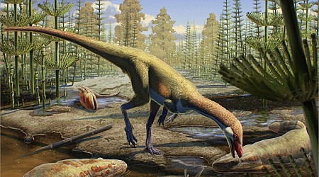 230 Million-Year-Old Fossil From Wyoming Challenges Dinosaur Origin Theories