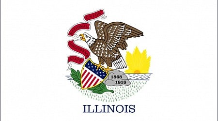 Here's how to vote for Illinois' new state flag