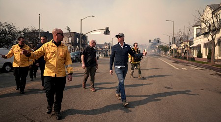 Video of Gavin Newsom Confronted by Angry Palisades Resident Goes Viral