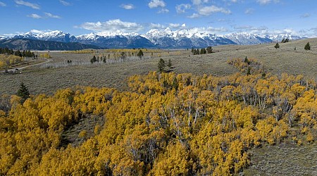 Wyoming Sells 640 Acres of Land to Feds for $100M