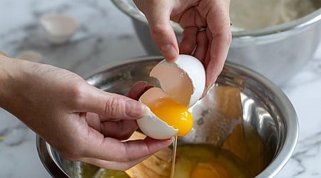 Bird Flu, Salmonella and Other Health Risks from Raw Eggs, Explained