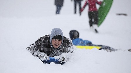 Here's how much snow Springfield got — and when it'll melt