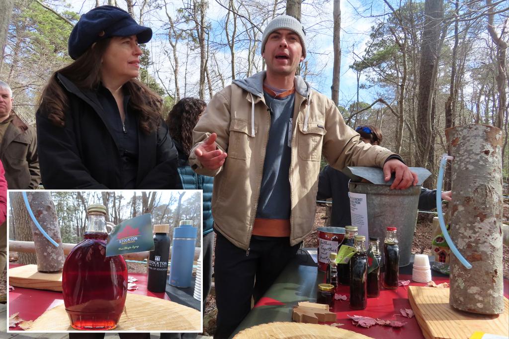 New Jersey school uses $1M grant to produce maple syrup