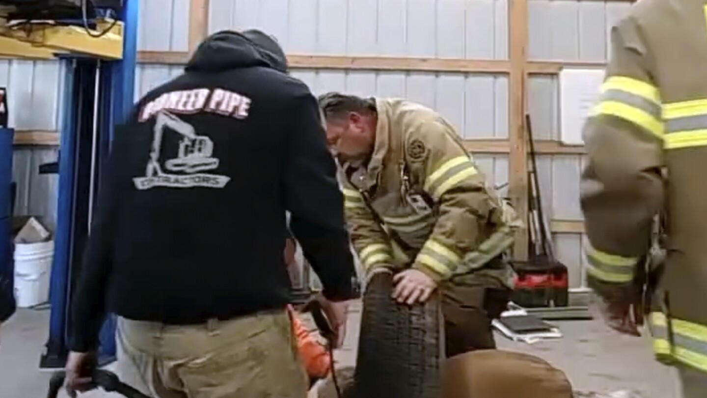 Firefighters in New Jersey come to the rescue of a yellow Labrador stuck in a spare tire