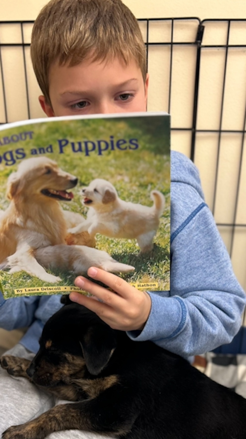 WATCH: First grade class uses foster puppies to enhance their reading skills