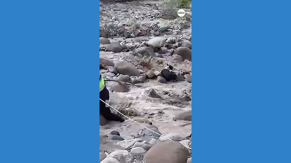 WATCH: Agents rescue dog from swollen river in Peru