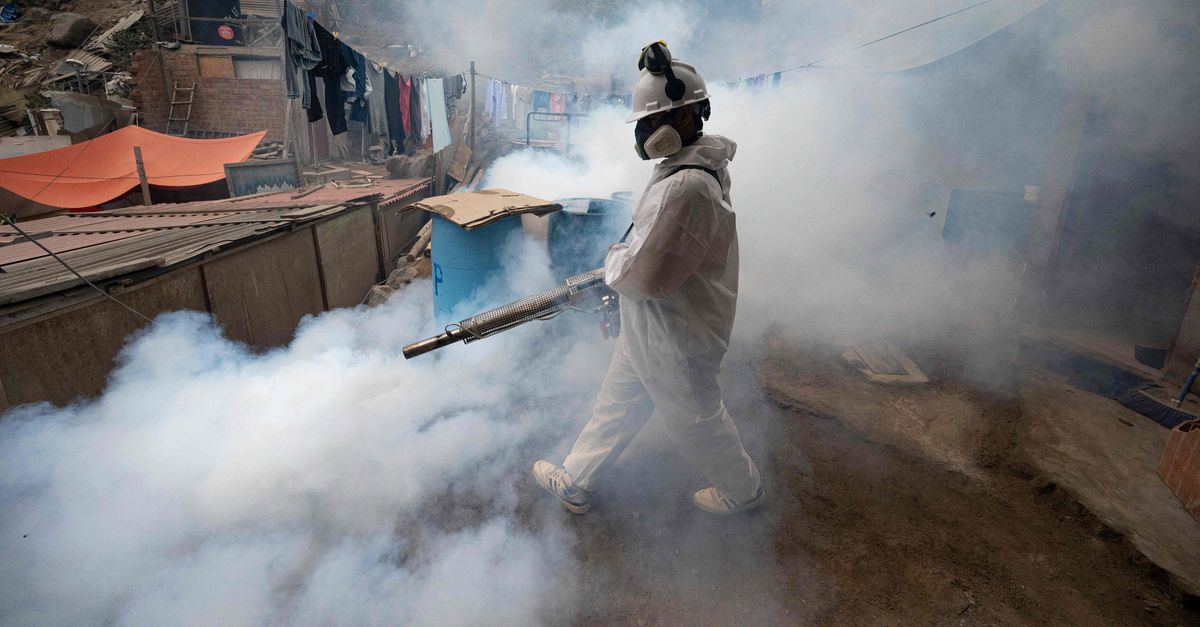 Peru roept medische noodtoestand uit vanwege snelle verspreiding dengue-virus
