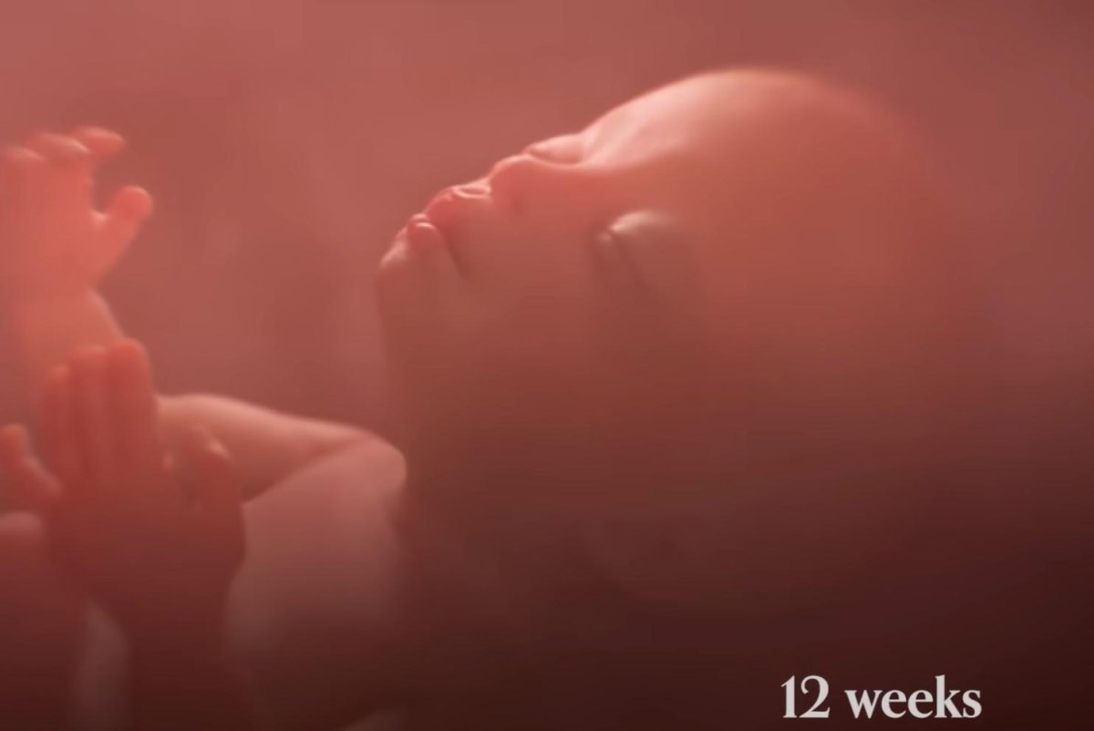 States moving to require schools to show inaccurate fetal development video