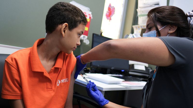 Puerto Rico declares public health emergency as dengue cases surge