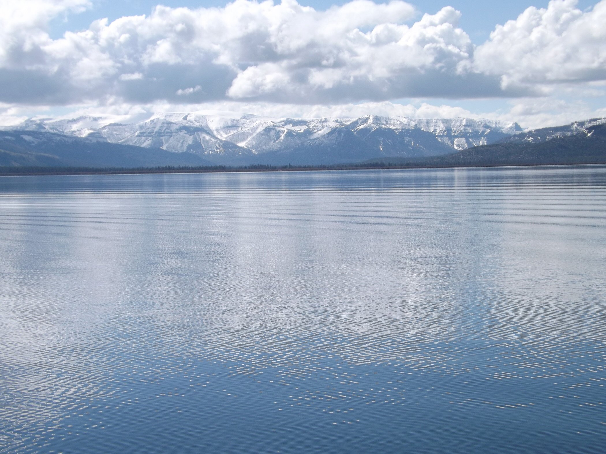 Yellowstone Lake ice cover unchanged despite warming climate