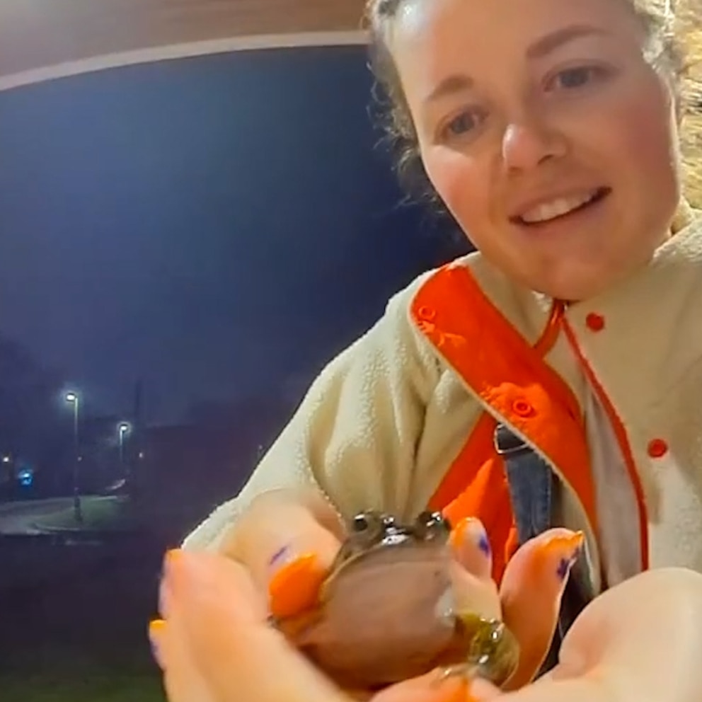 WATCH: Wife is excited to find frog on doorstep even if her husband is hesitant