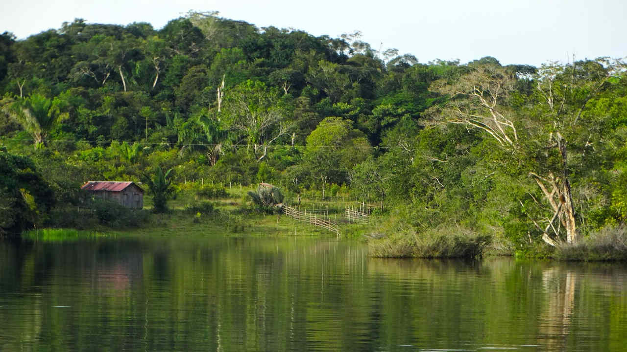 Amazônia no mercado de capitais? Entenda o novo título vinculado à natureza