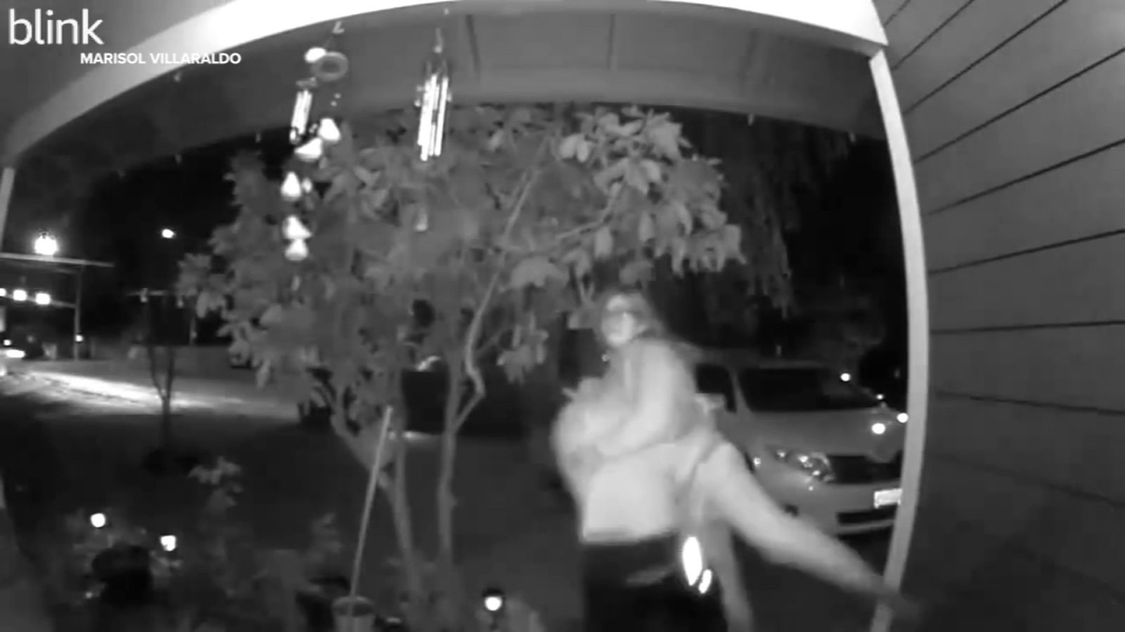 Attempted kidnapping in Oregon caught on doorbell camera shows woman get carried away | VIDEO