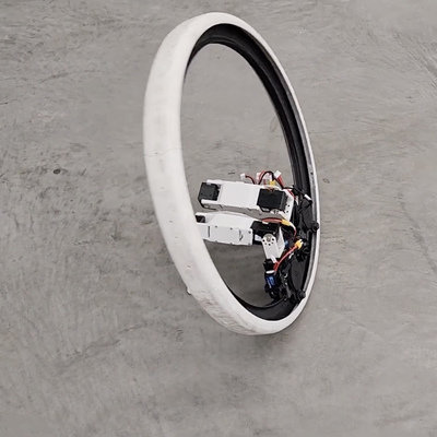 A Bizarre Robot Form Factor: One Hubless Wheel and Two "Legs"