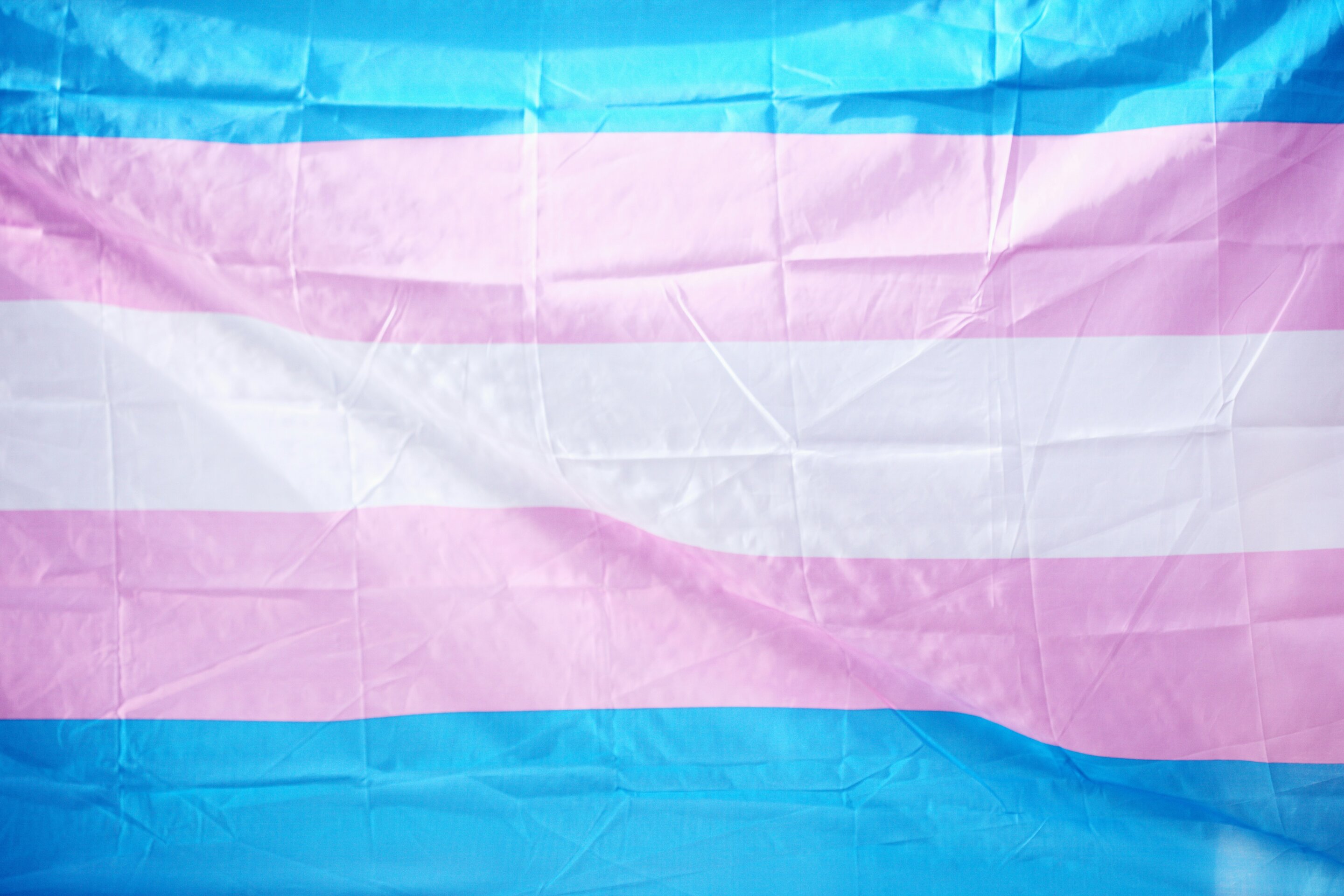 New survey sheds new light on trans life in Maryland