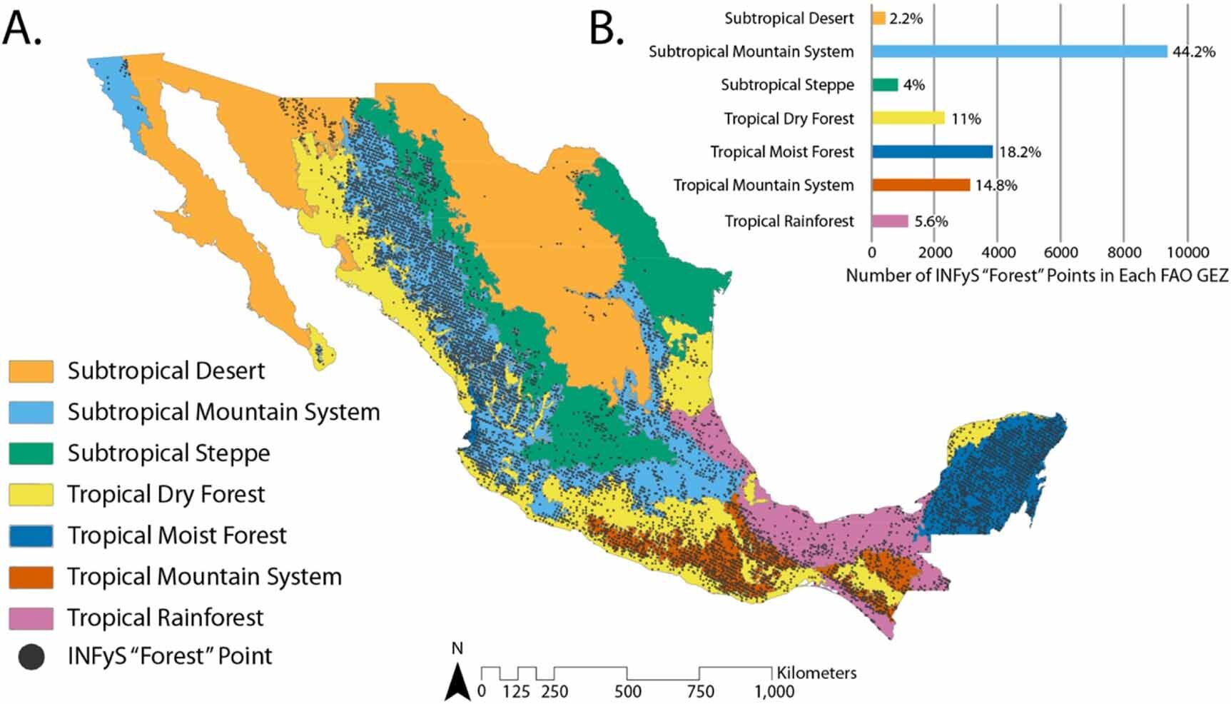 Researchers develop forest extent map for Mexico