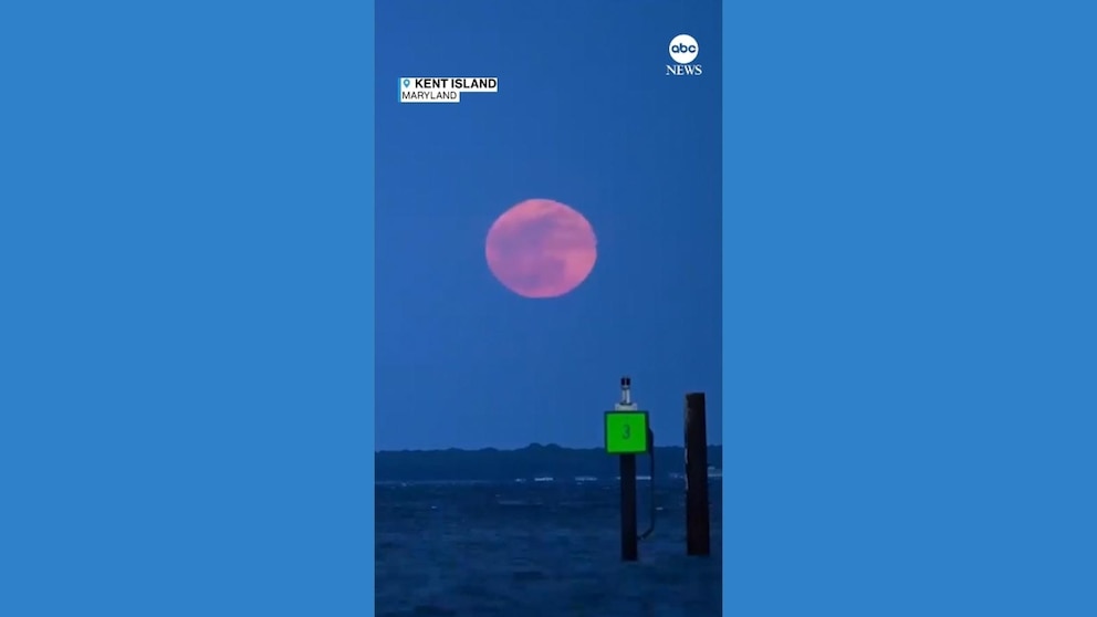 WATCH: Full 'pink moon' revealed in timelapse footage