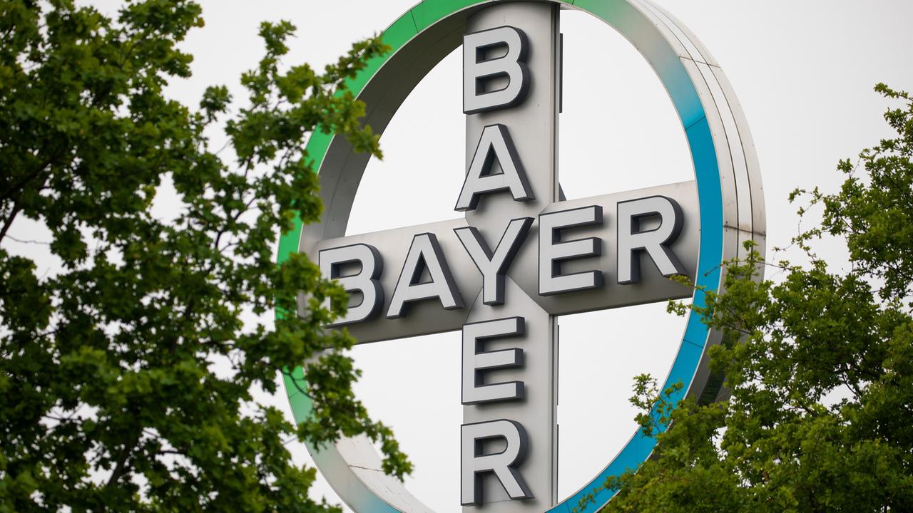 Menschenrechtler zu Glyphosat-Einsatz: Beschwerde gegen Bayer bei der OECD