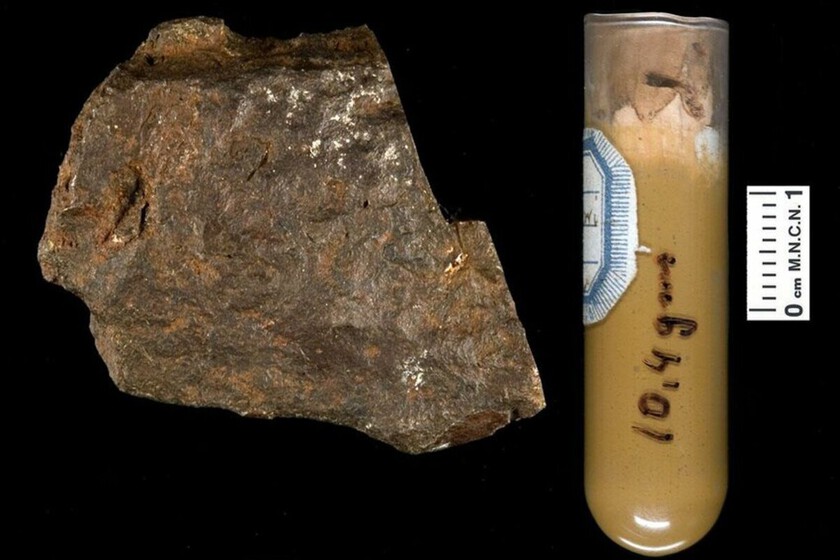 El Museo Nacional de Ciencias Naturales lleva 150 años creyendo que esto era un meteorito. Es algo mucho más interesante
