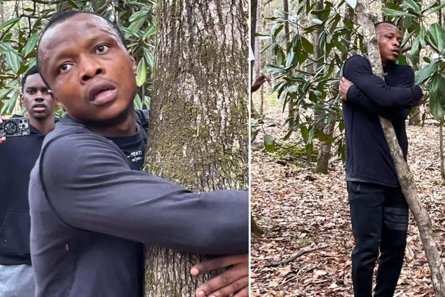 Ghana man hugs 1,123 trees in an hour for world record