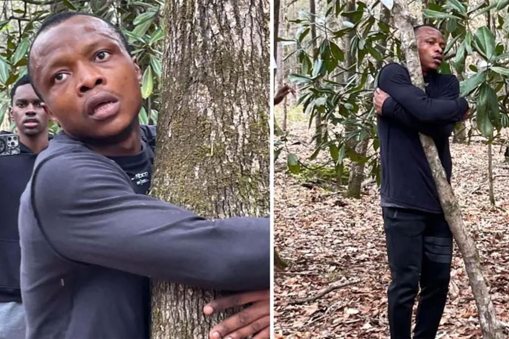 Environmentalist smashes world record by hugging 1,123 trees in one hour