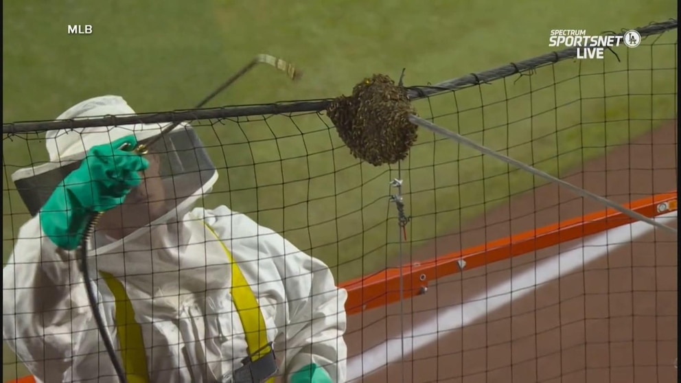 WATCH: Bees delay Diamondbacks baseball game