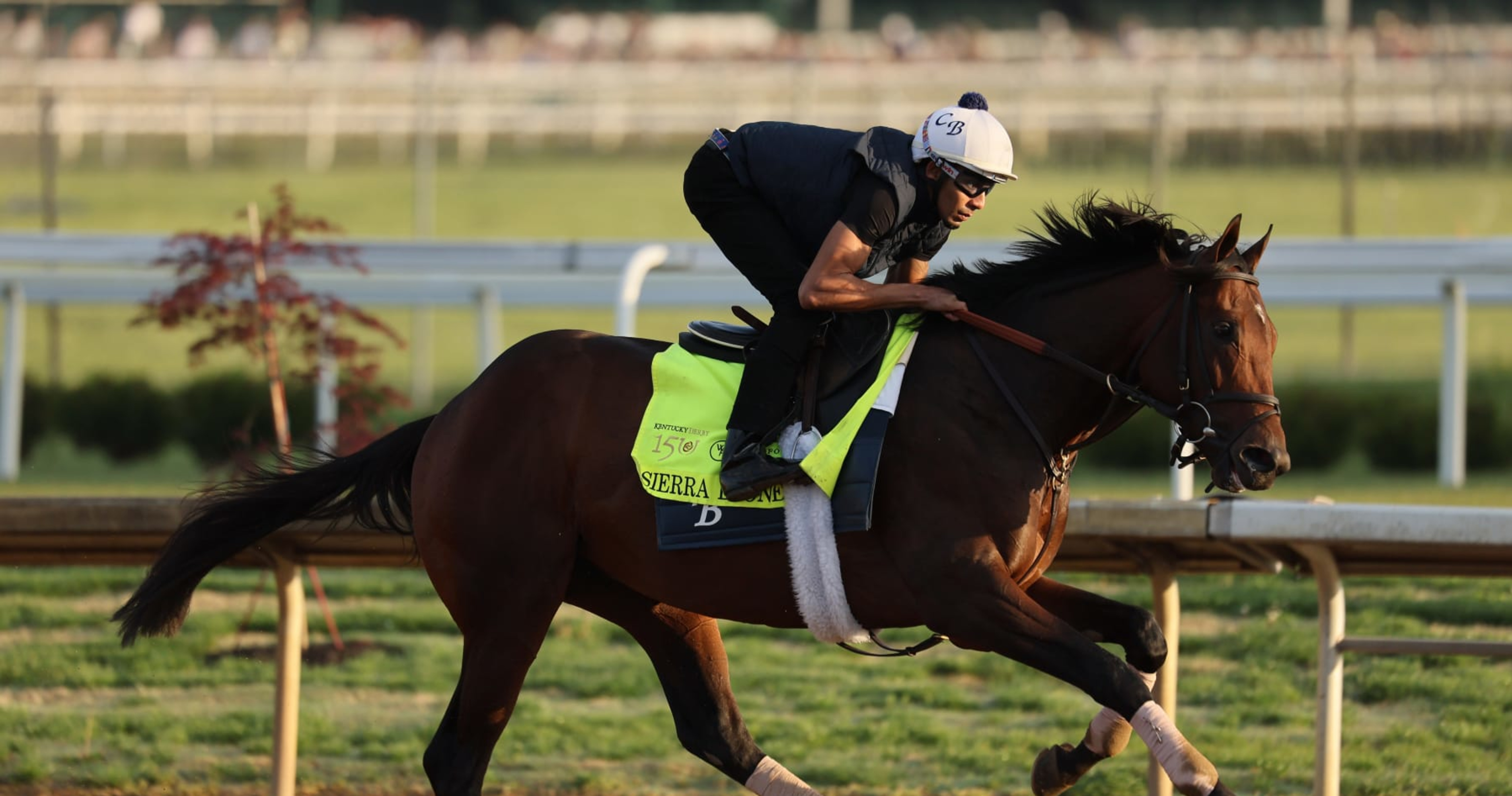 Kentucky Derby Field 2024: Entries List, Betting Lines and Picks