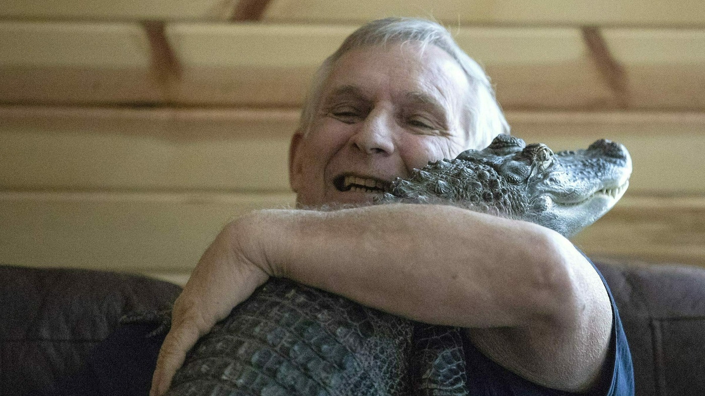Have you seen this emotional support gator? Wally's owner says he's lost in Georgia