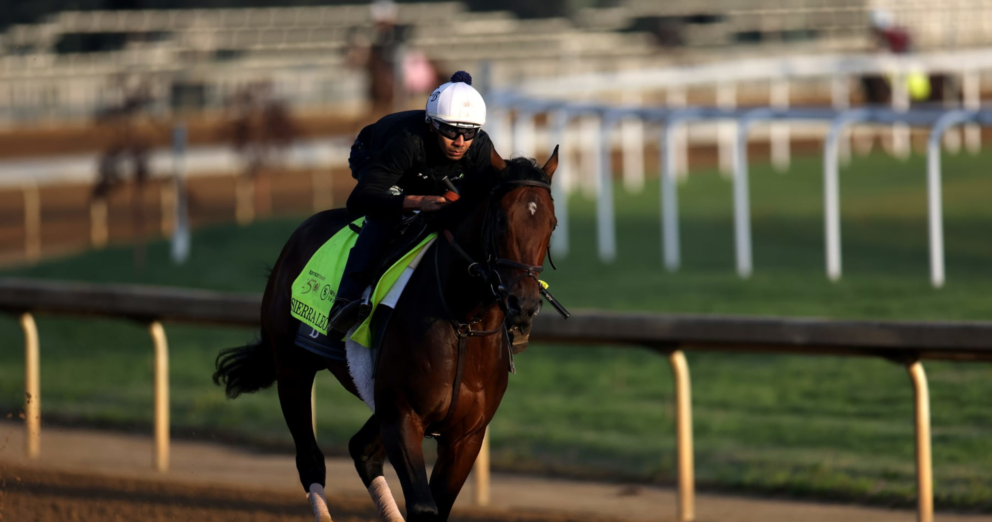 Kentucky Derby Field 2024: Pinpointing Contenders from All Horses and Jockeys
