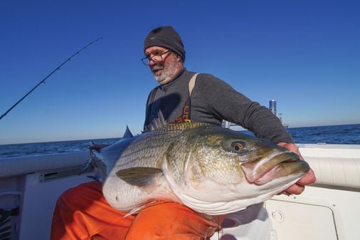 As striped bass season rhode island gets started, William Sisson is worried for their future