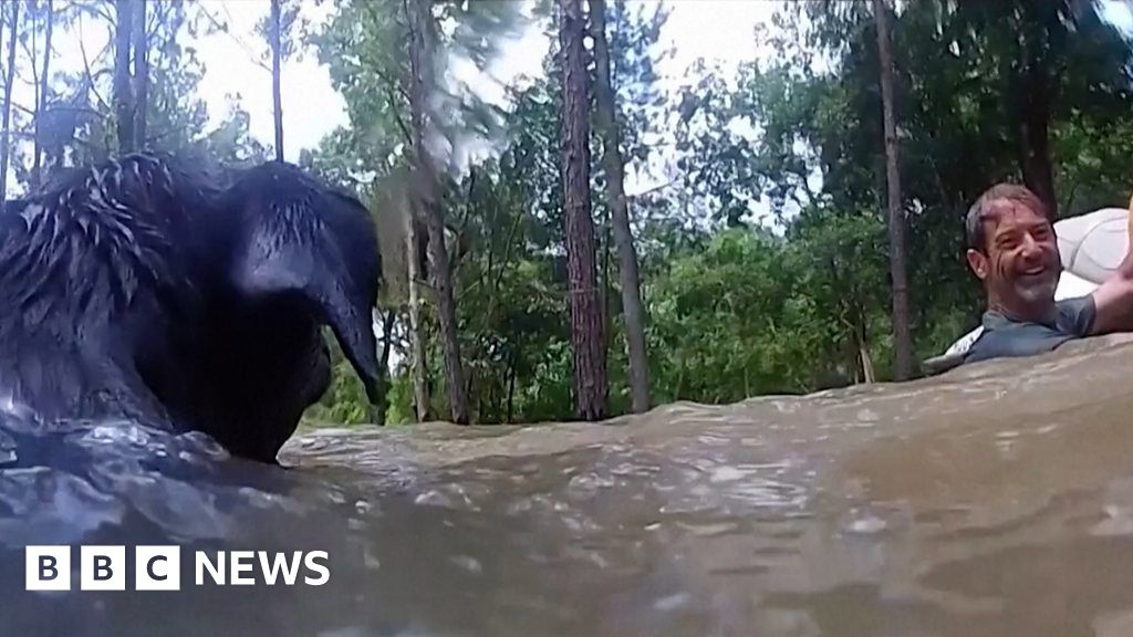 Bodycam shows jet ski rescue of man and dogs in flood