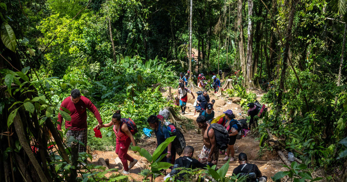 Fermer la jungle du Darién aux migrants, la promesse “impossible” du président du Panama